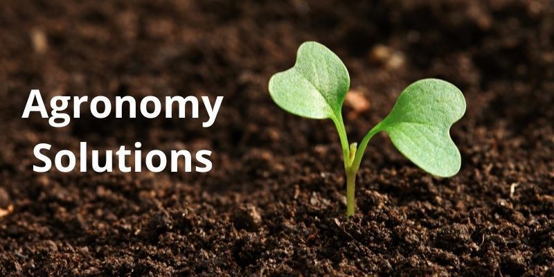 Agronomy Solutions